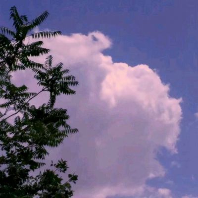 博鱼·体育下载入口